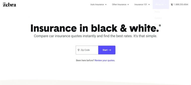 TheZebra.com Auto Insurance Reviews
